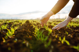 Cooperativa agropecuária